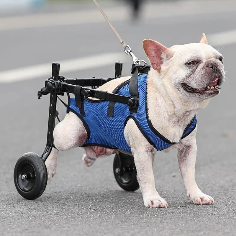Adjustable Small Dog Wheelchair