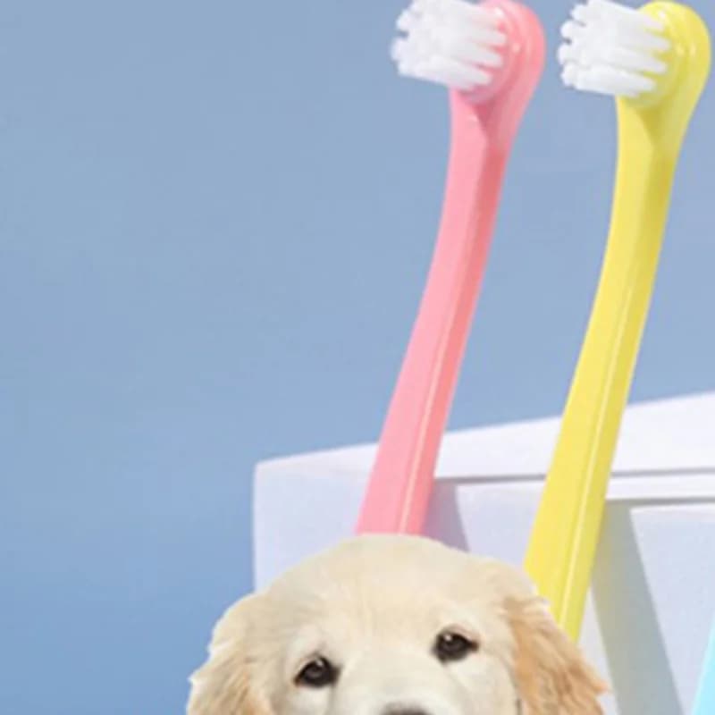 Dog Toothbrush for Teeth Cleaning