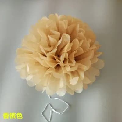 Tissue Paper Pompoms Flower Balls Decorations