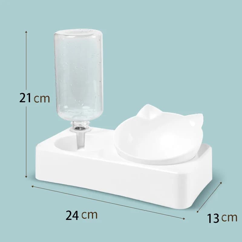 2-in-1 Pet Food and Water Feeder Bowl Set