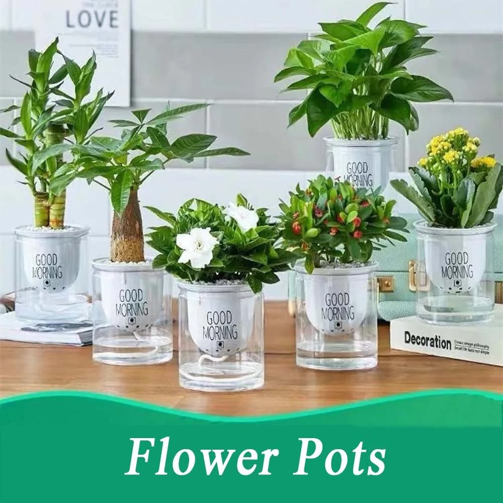 Garden Table Balcony Auto Irrigate Green Dill Office Succulents Garden Supplies Home Decor Flower Pots Planters Plant Pot