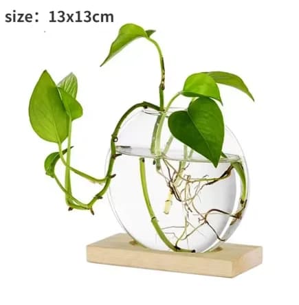 Wooden Frame Glass Hydroponic Vase