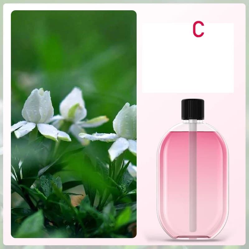 Automatic Fragrance Diffuser with Light
