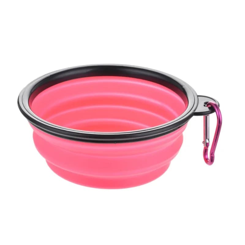 Collapsible Pet Food and Water Bowl