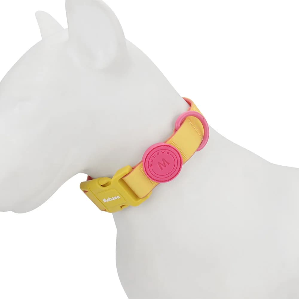 Candy Color Medium Pet Collar with Leash