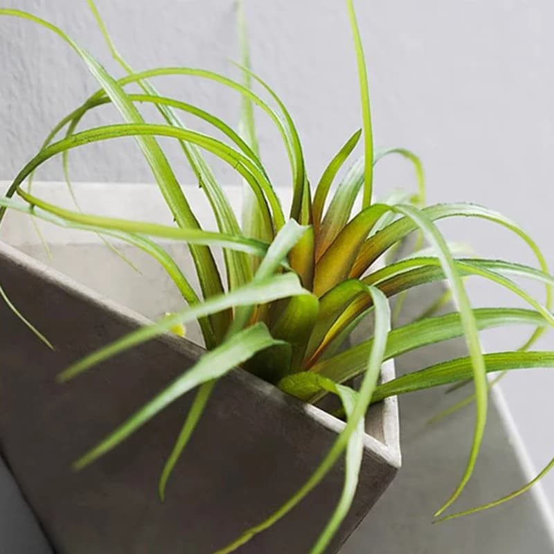 Modern Cement Vase