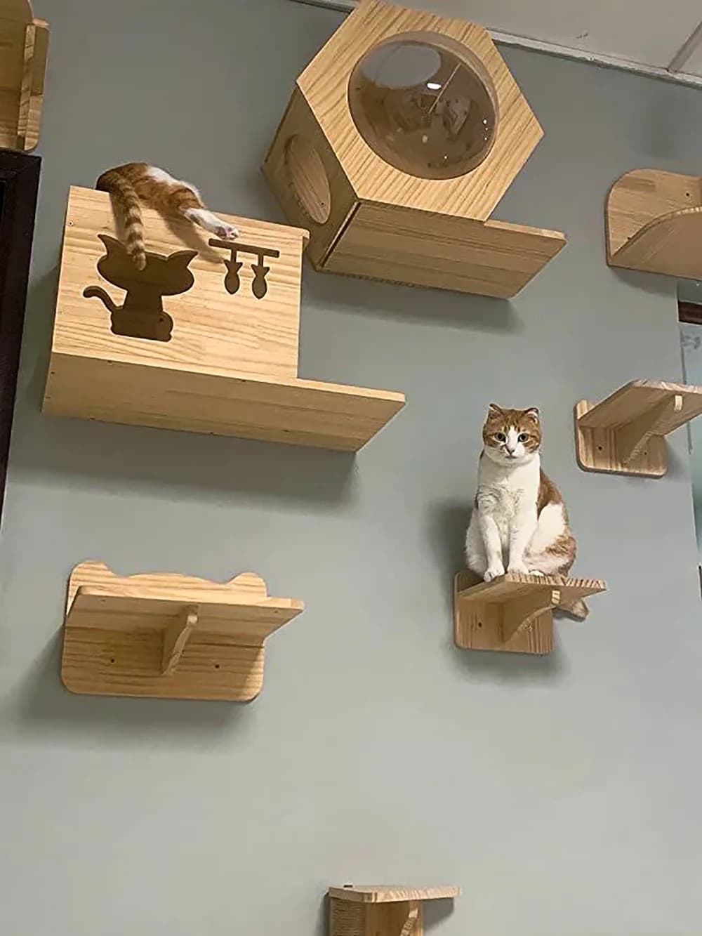 Wall Mounted Cat Tree with Floating Shelves