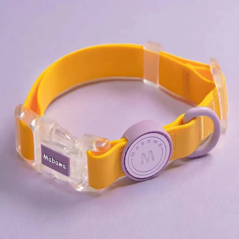 Waterproof Colorful Pet Collar