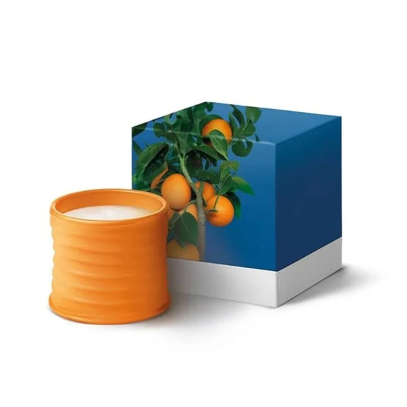 Honeysuckle Tomato Scented Candle Gift Box