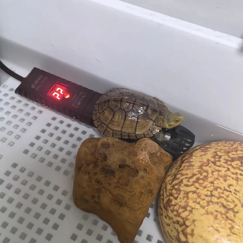 Digital Aquarium Heater with LCD Thermostat
