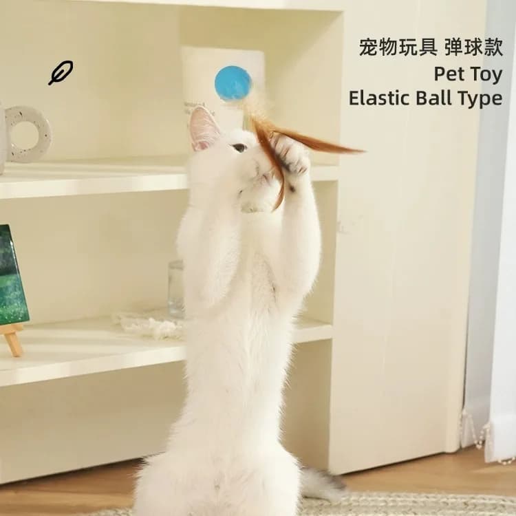 Cat Toys, Elastic Balls, Feather Cat Toys, Self-entertaining and Boring Gadgets, Interactive Pet Supplies for Cats