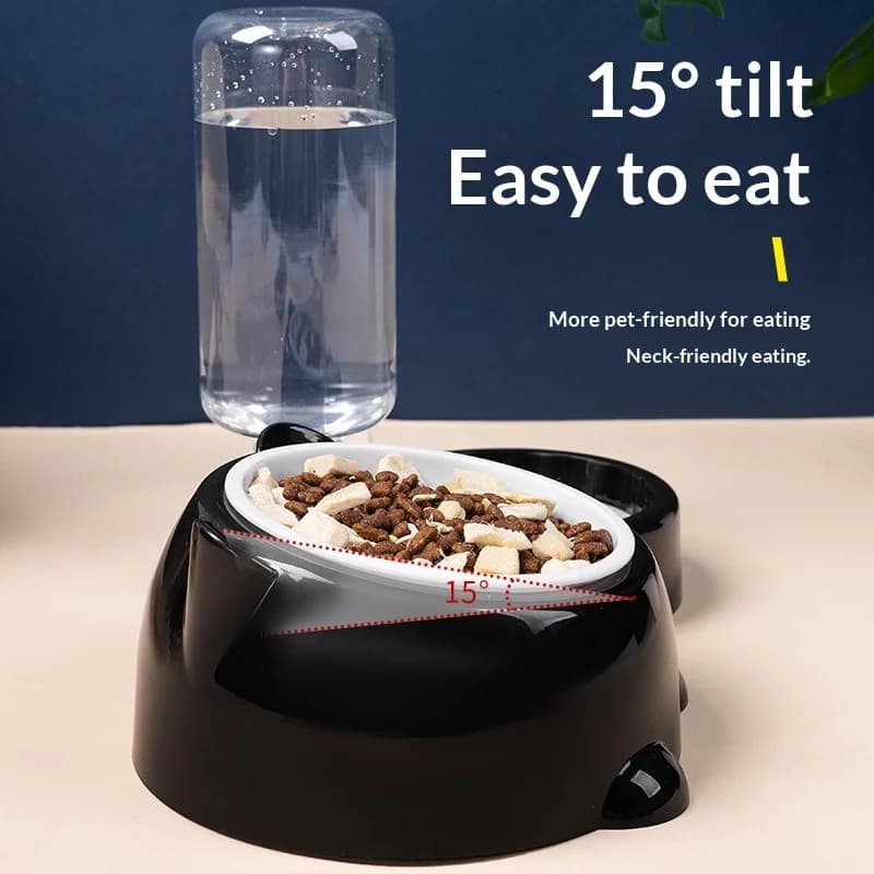 Elevated Dual Pet Feeder Bowl