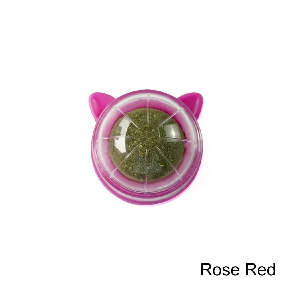 Catnip Healthy Nutrition Pasted Lollipop Cat Supplies Mint On The Wall Kitten Energy Ball Candy Snacks Goods For Pet Products