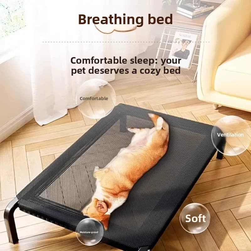 Elevated Mesh Dog Bed with Stainless Steel Frame