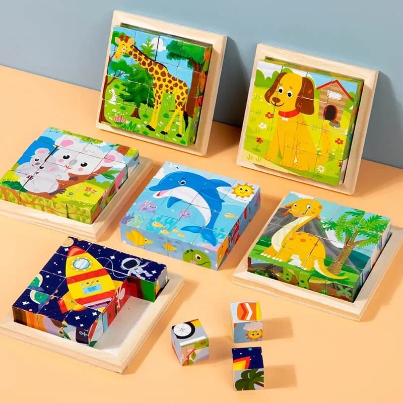 Wooden Six-Sided Puzzle Blocks