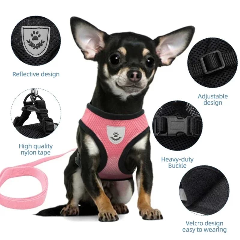Adjustable Mesh Pet Harness Vest with Leash