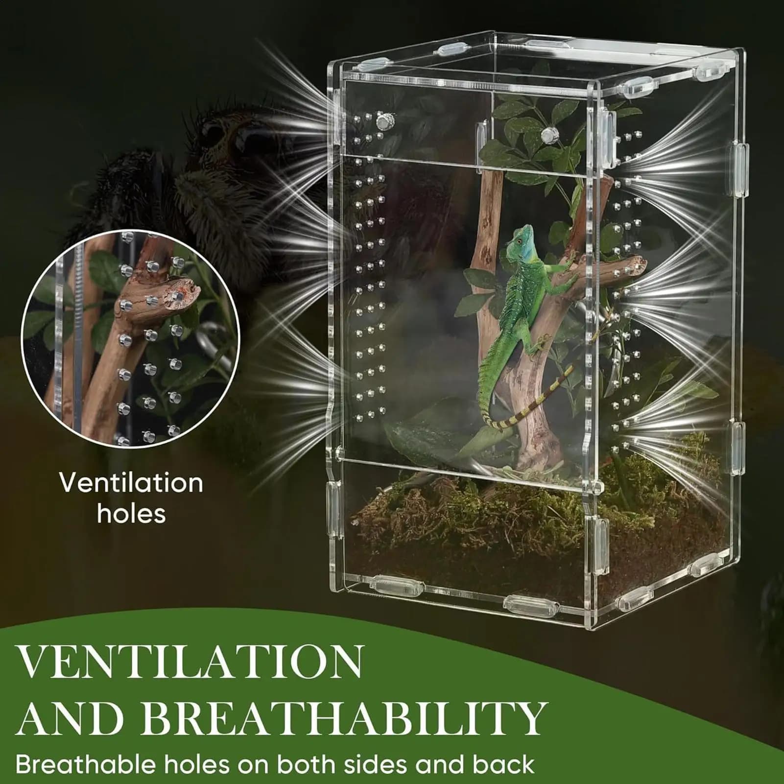Acrylic Transparent Reptile Terrarium Breeding Box