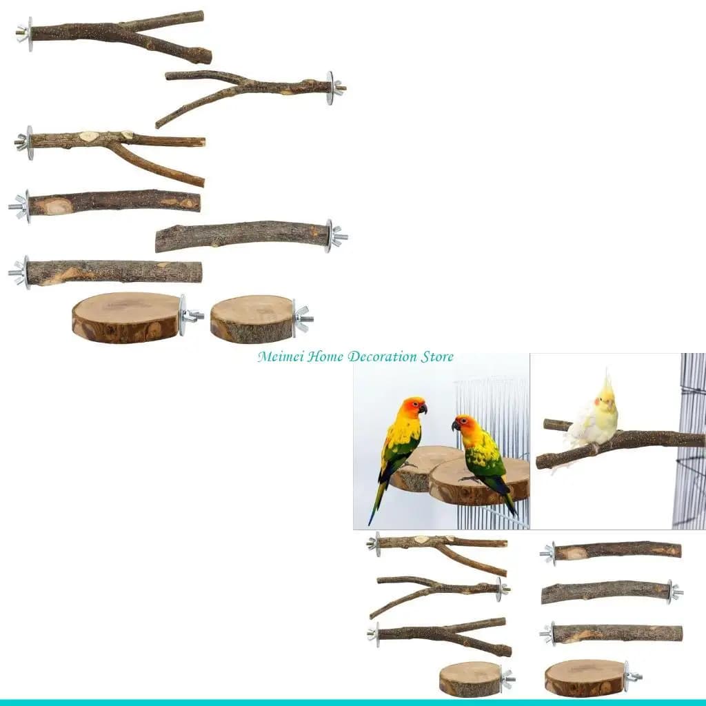 Bird Perch Climbing Ladder Play Gym Set