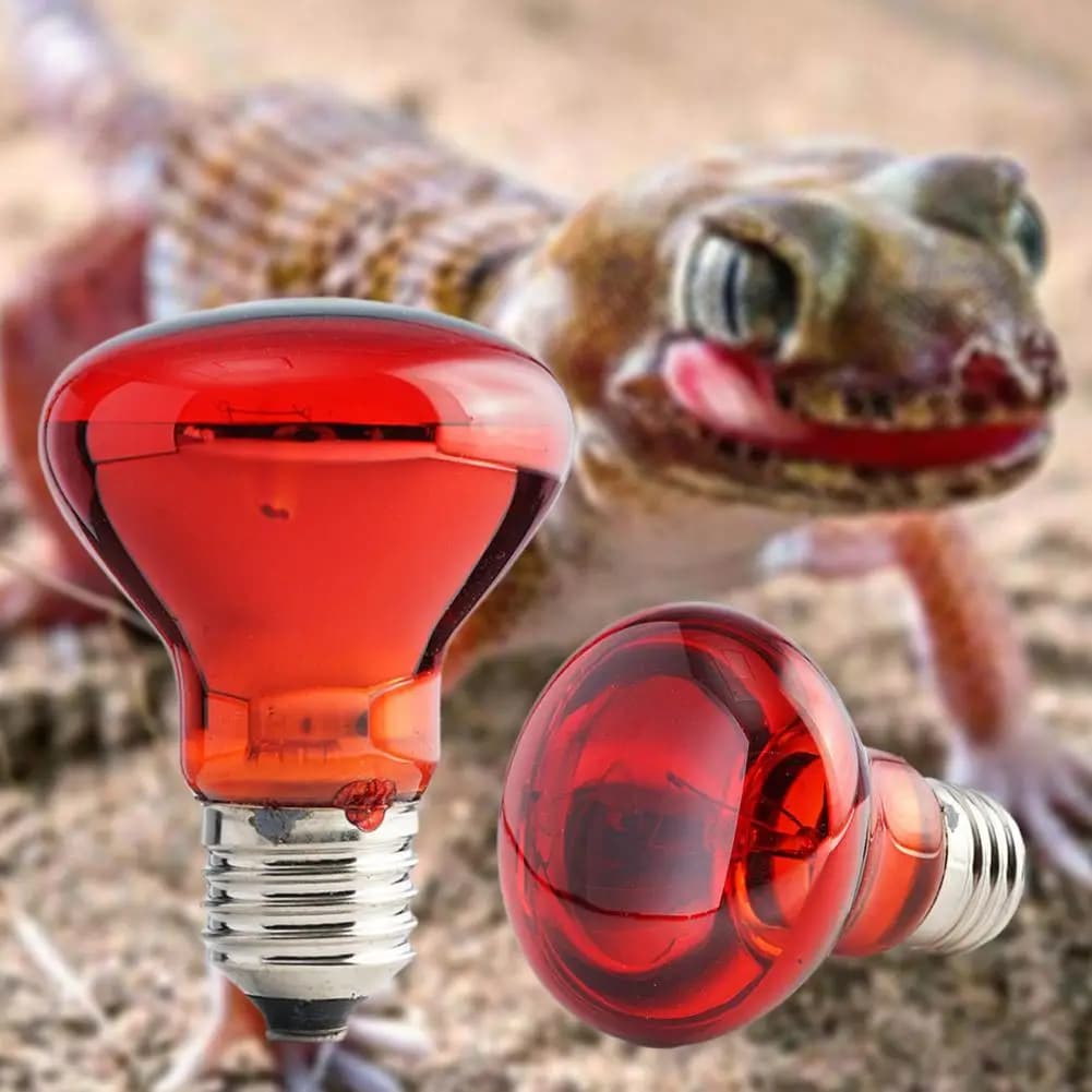 Reptile UVA Heat Lamp Bulb with Red Infrared Light