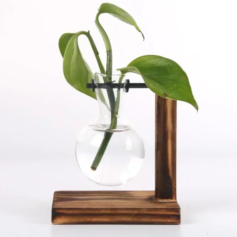 Hydroponic Plant Terrarium with Wooden Stand