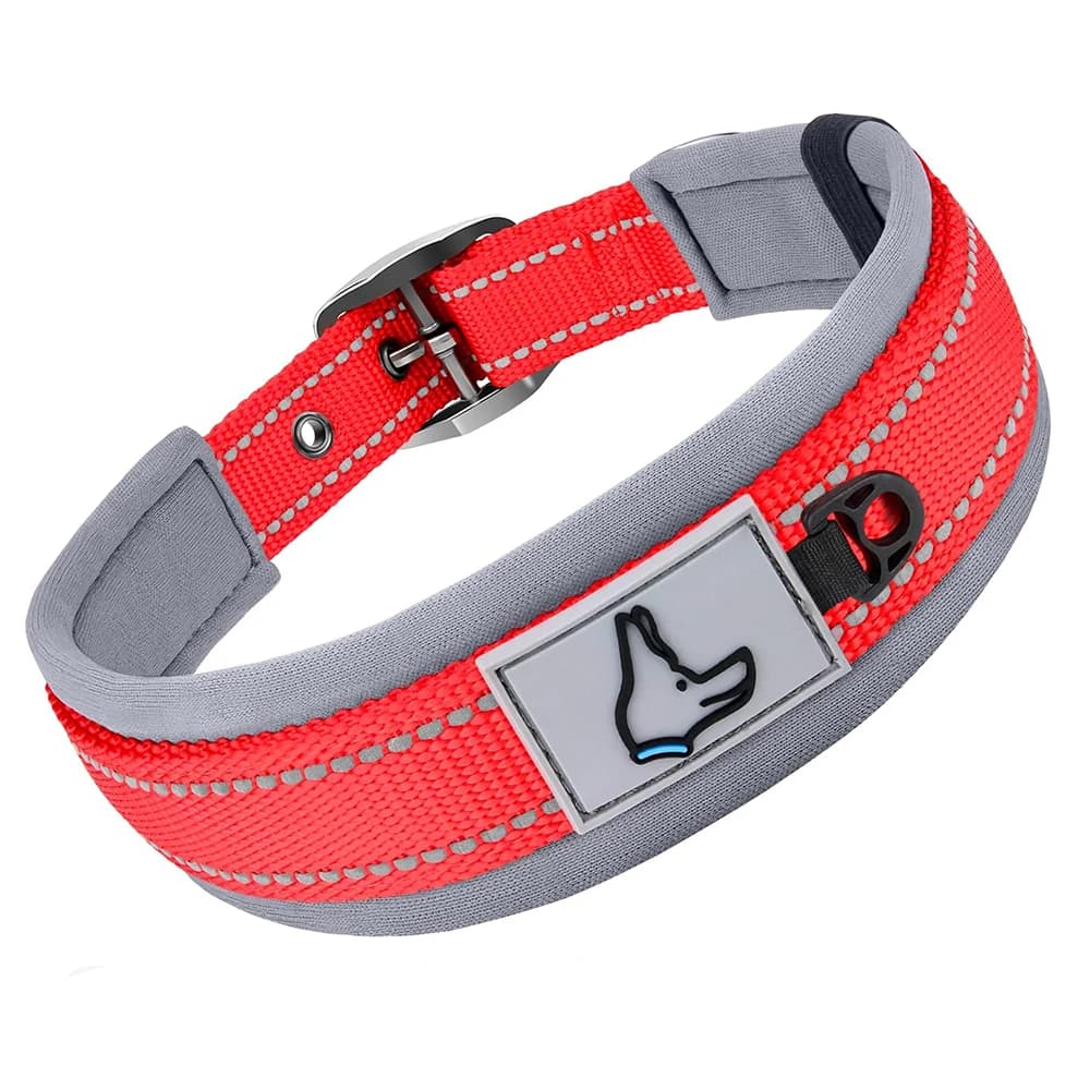 Padded Reflective Dog Collar with Metal Buckle