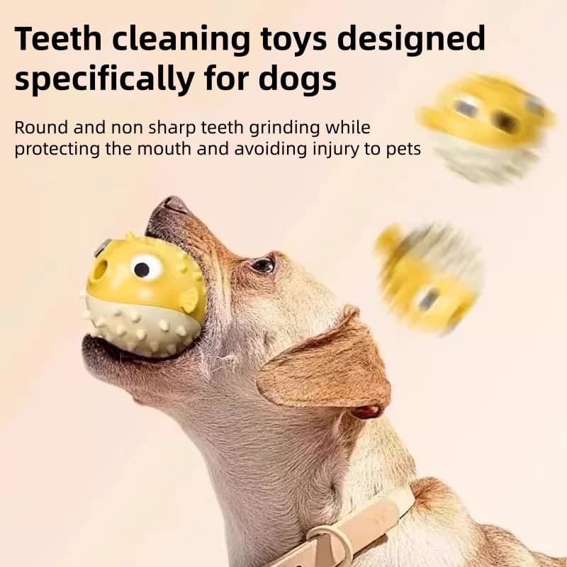 Bouncing Fish Treat Dispenser Dog Toy