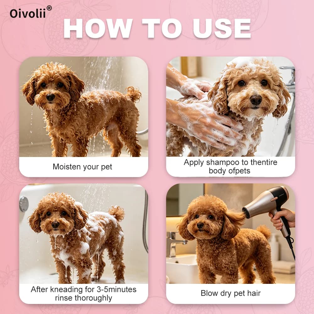 Curly Coat Dog Shampoo and Conditioner