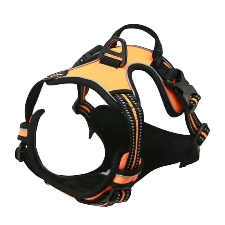 Dog Collar Harness and Leash Set