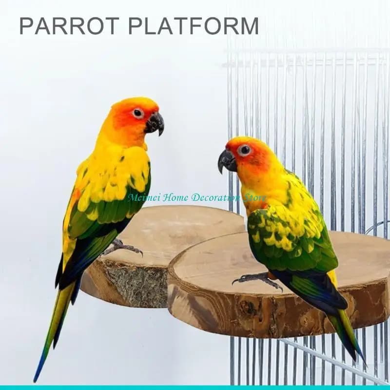 Bird Perch Climbing Ladder Play Gym Set