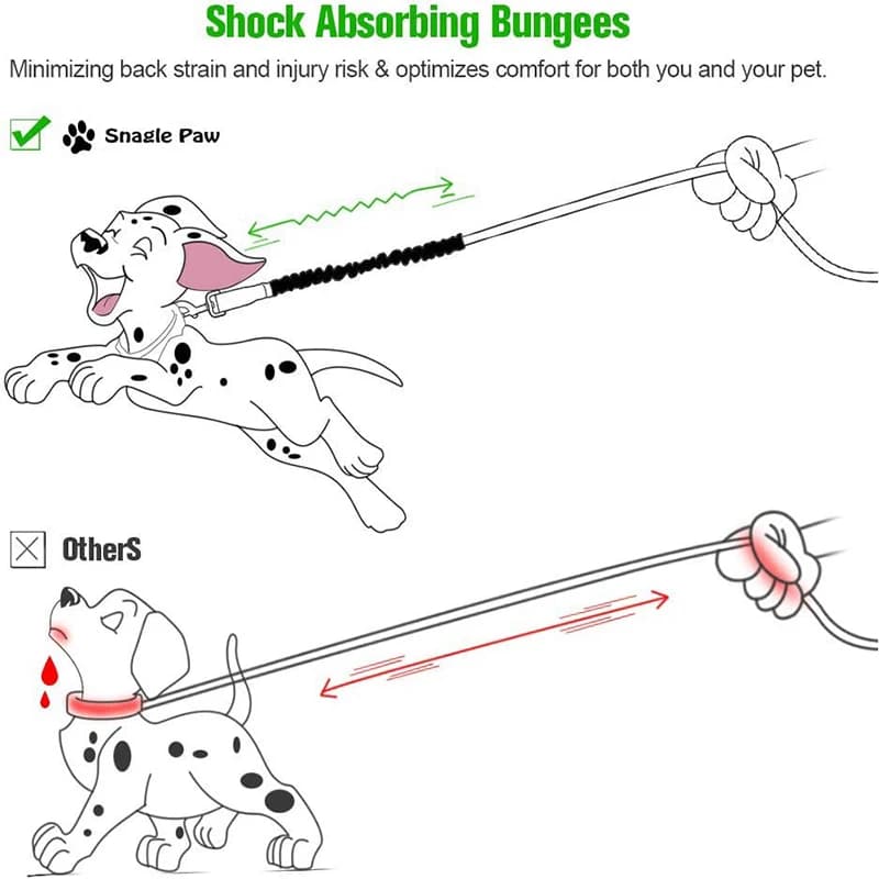 Dog Leash Extension with Metal Buckle