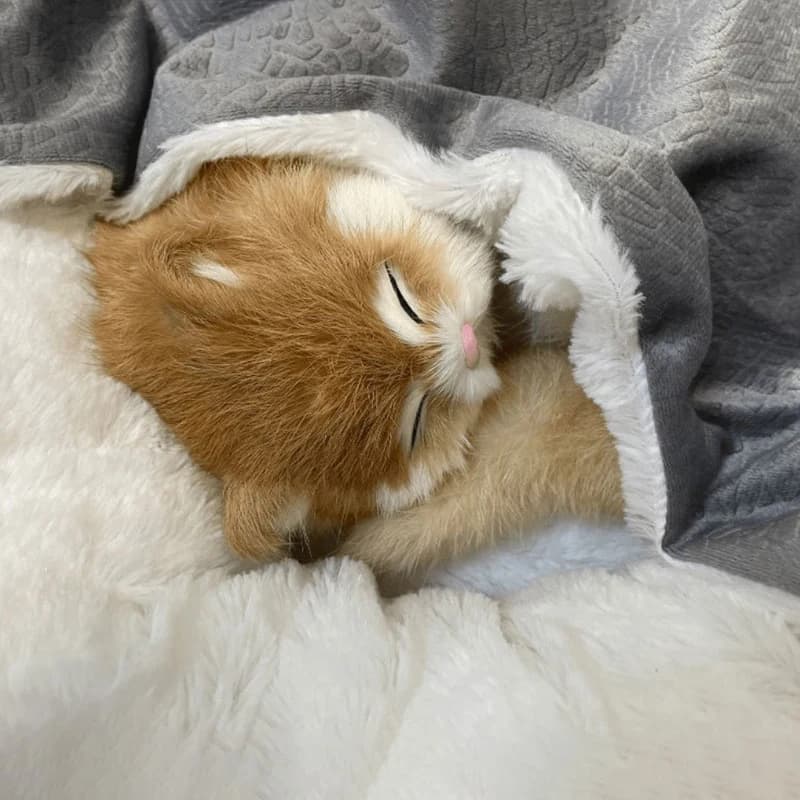 Orthopedic Dog Bed with Hooded Blanket