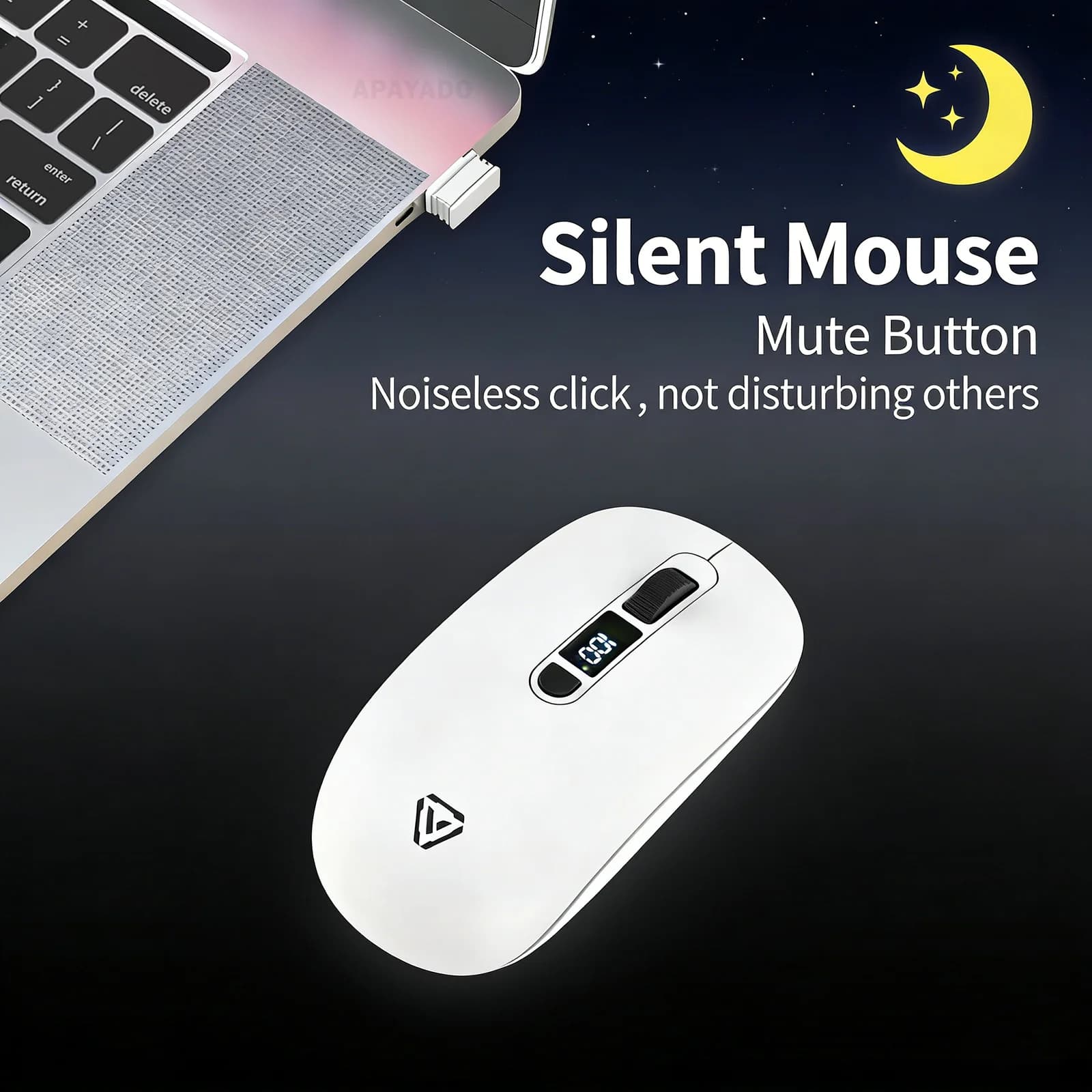 Wireless Silent Mouse with Dual Mode