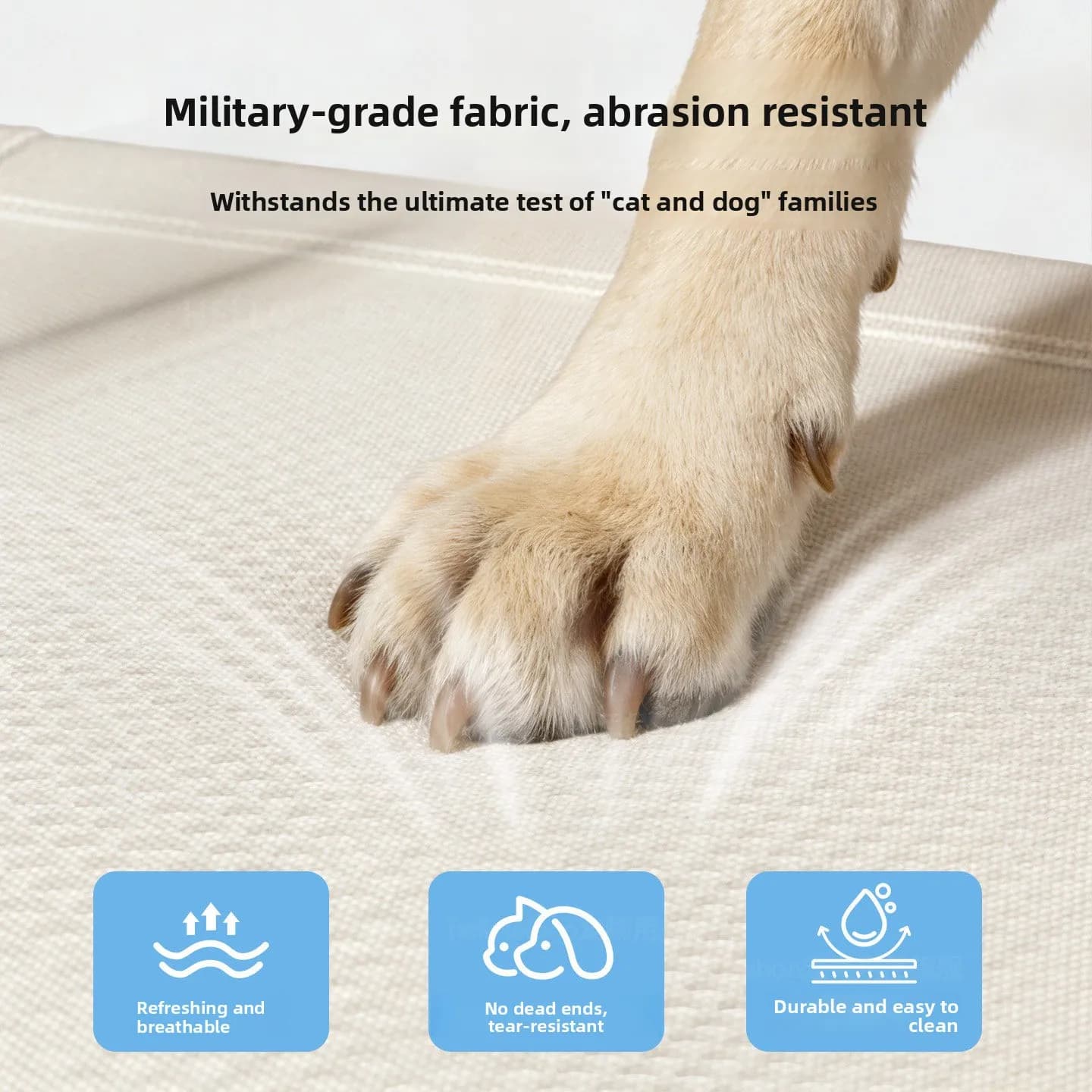 Elevated Dog Bed with Washable Cushion