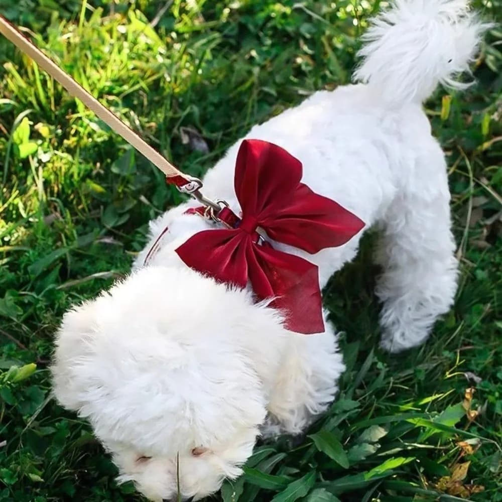 Adjustable Escape-Proof Pet Harness with Leash