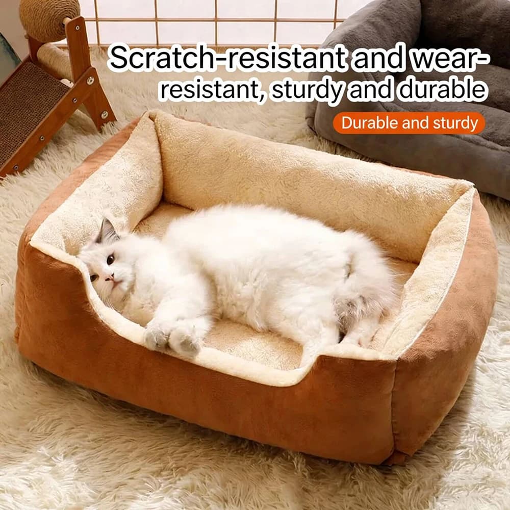 Pet Bed House with Cushion