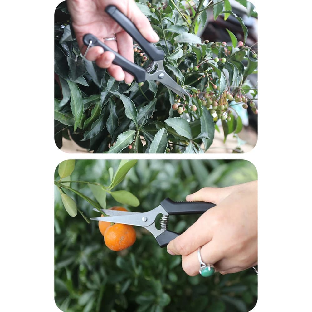 Pruning Shears and Florist Scissors