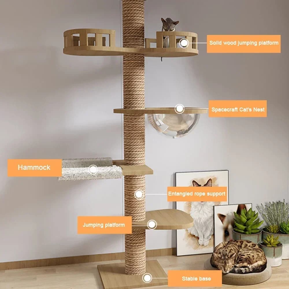 Adjustable Multi-Level Wooden Cat Climbing Frame