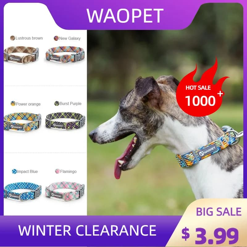 Durable Dog Collar with Leash for Training