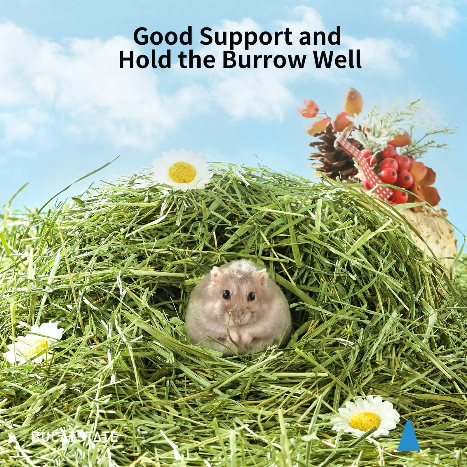 Timothy Hay Small Animal Bedding 300g