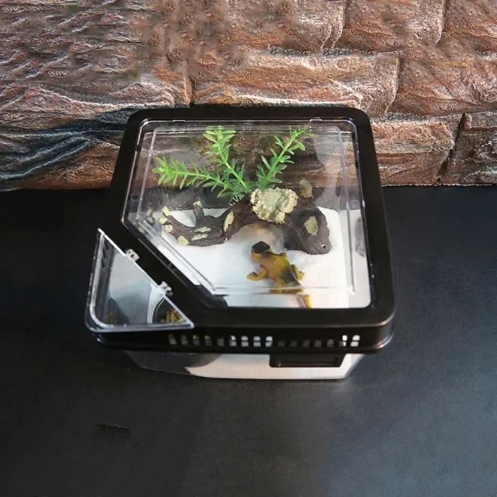 Spider Reptile Terrarium Tank Plastic Breeding Box