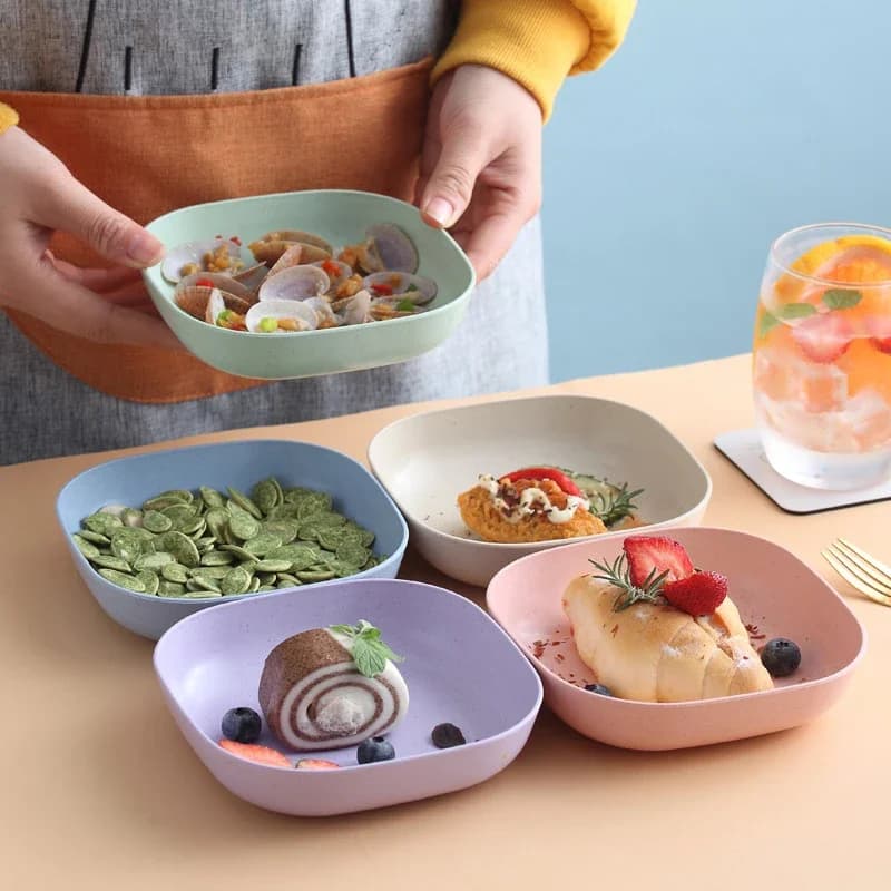 Square Plastic Dinner Plates with Storage Box