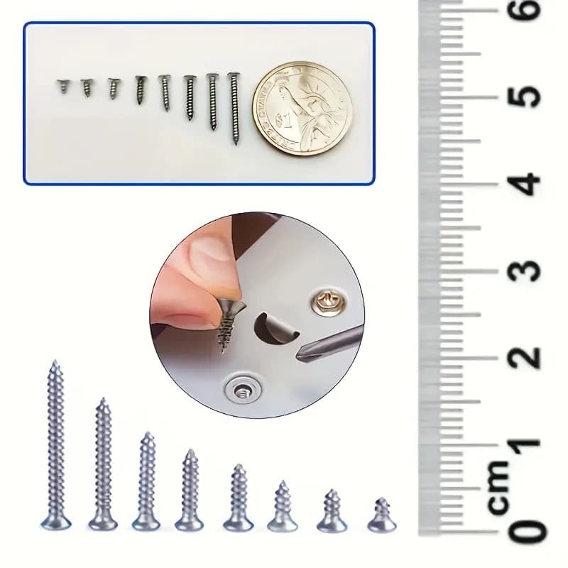 240-Piece Self-Tapping Wood Screw Set, 8 Sizes