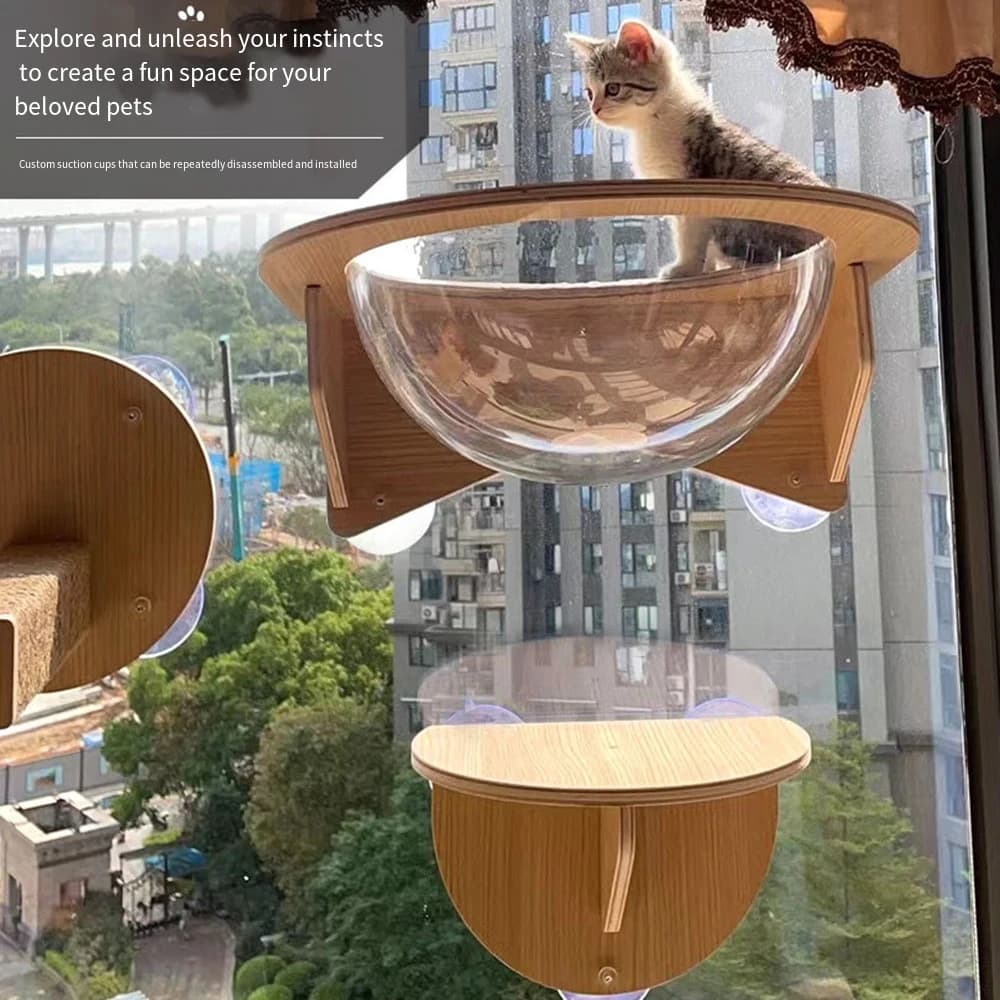 Cat Window Perch Climbing Frame