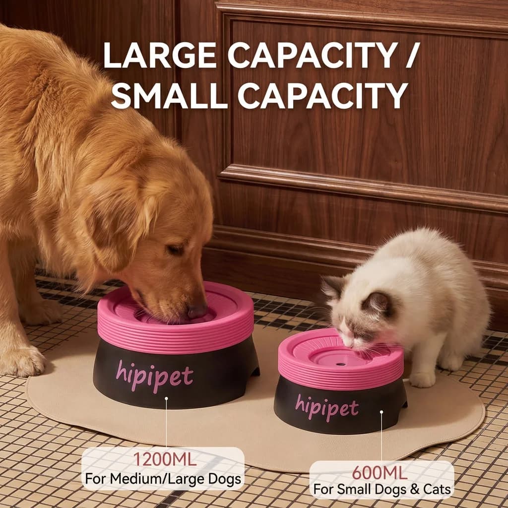 Pet Water Bowl with Anti-Wet Spill Mat