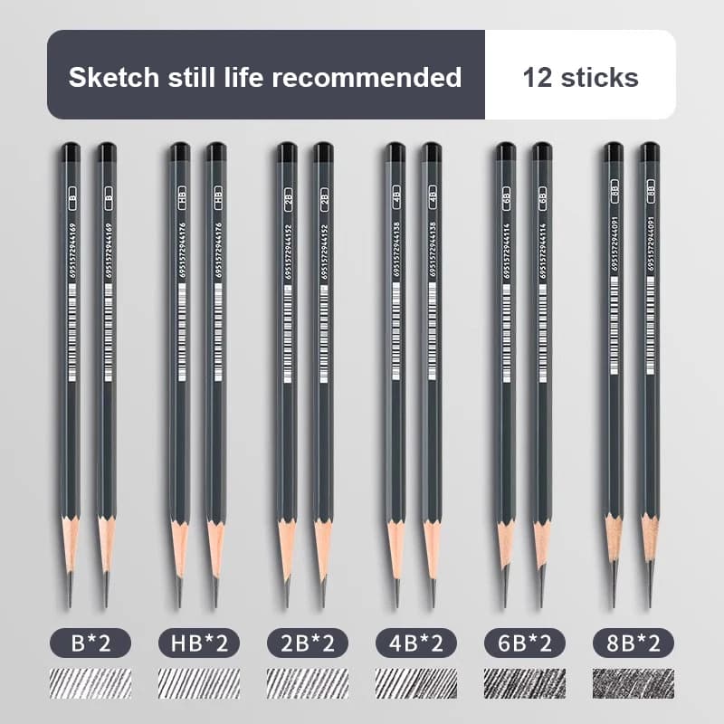 Professional Drawing Sketch Pencil Set
