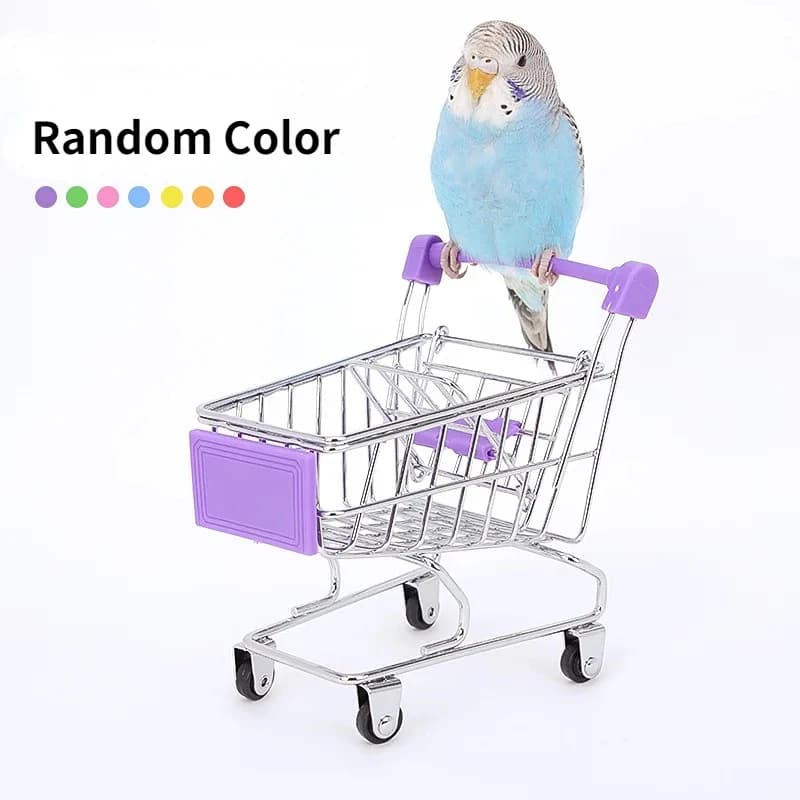 Bird Cage Activity Toy