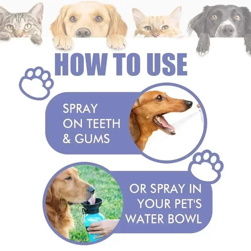 Dog Oral Care Spray