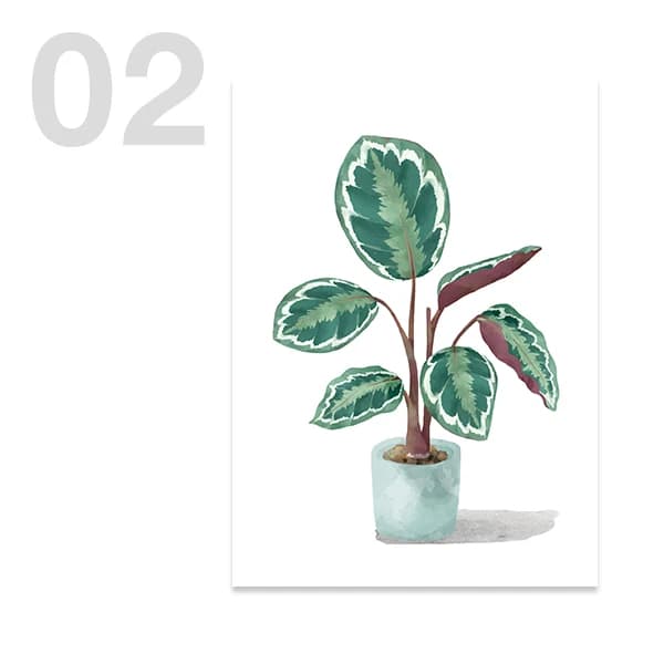 Nordic Botanical Green Plant Canvas Wall Art Print