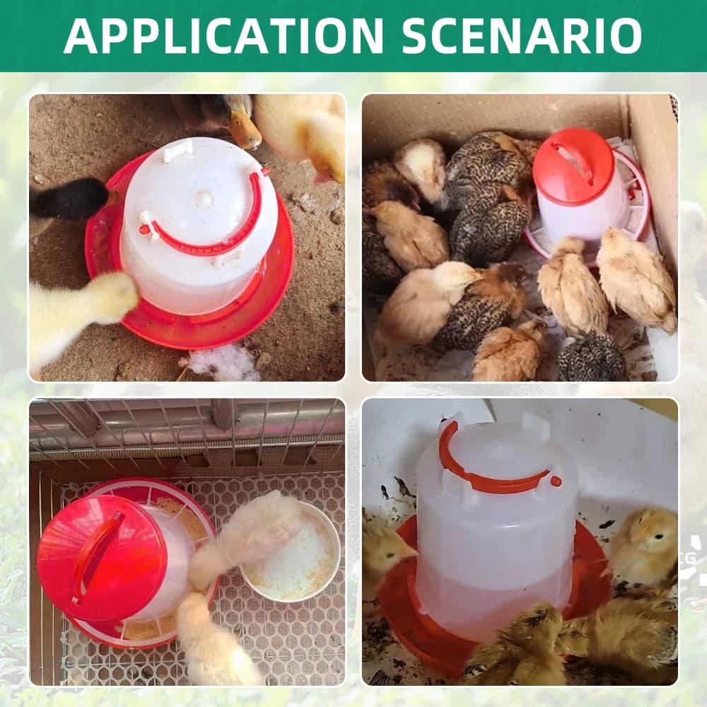 Chicken Feeder and Waterer Set