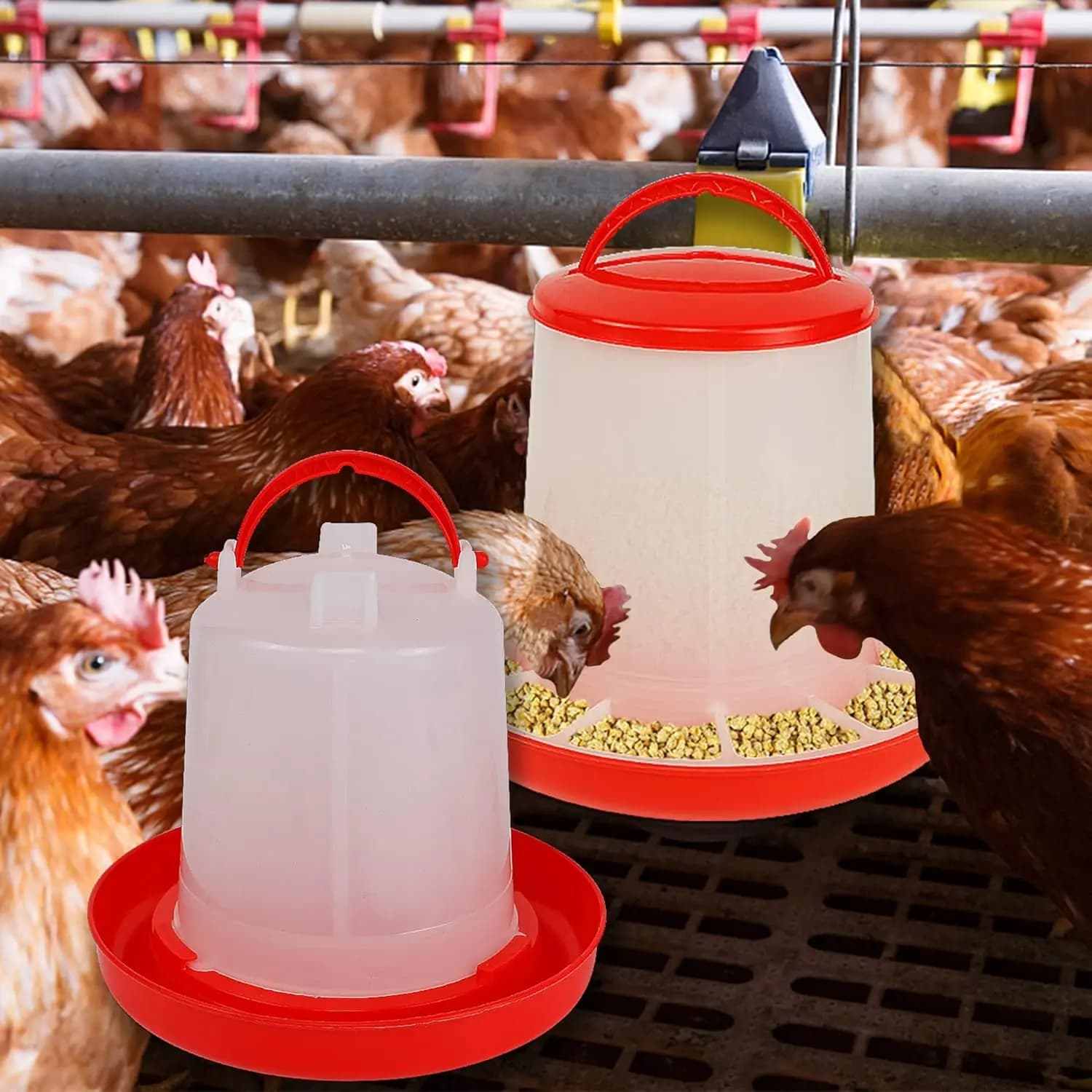 Chicken Feeder and Waterer Set